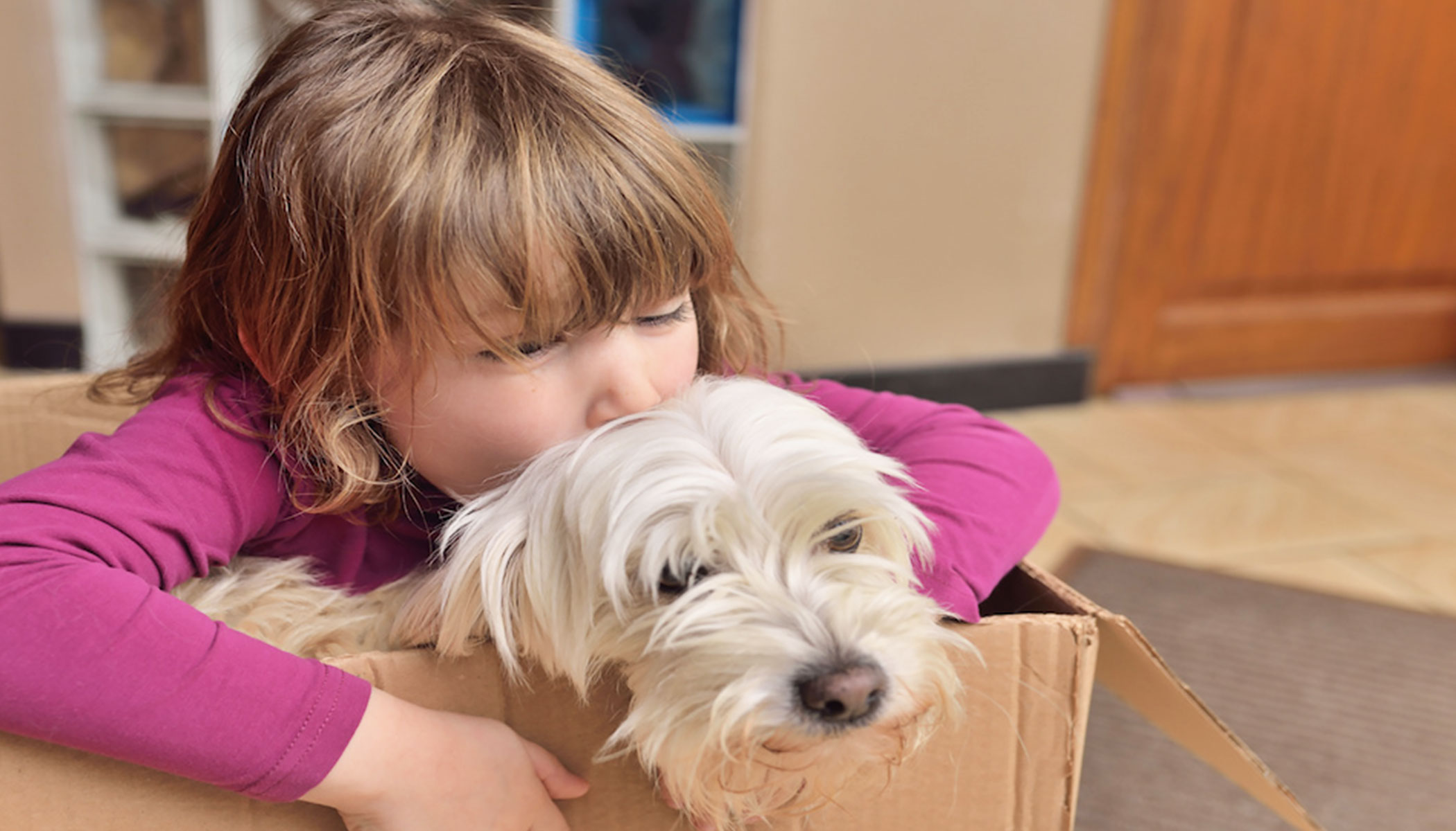 Tips for moving with pets - BigSteelBox