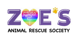 https://beta.bigsteelbox.production.poundandgrain.ca/content/uploads/2019/10/Zoes-animal-rescue-edmonton-logo-250.jpg