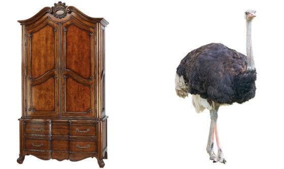 What weighs more: Wooden Armoire or Adult Ostrich?