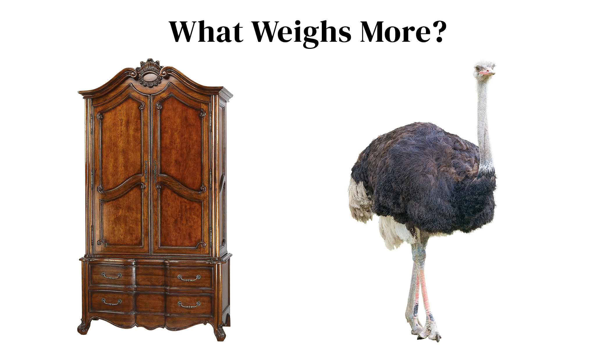 What weighs more: Wooden Armoire or Adult Ostrich?